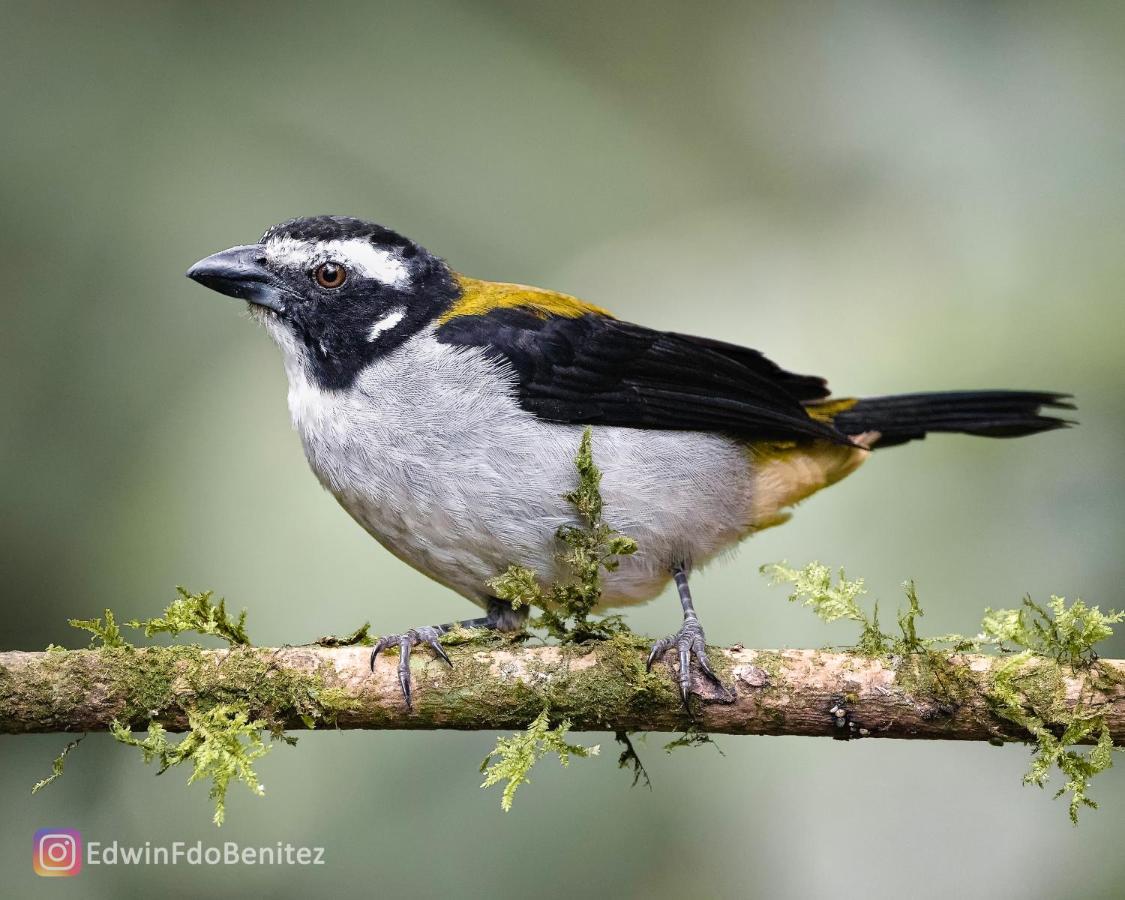 Bosque De Niebla Birding & Nature カリ エクステリア 写真