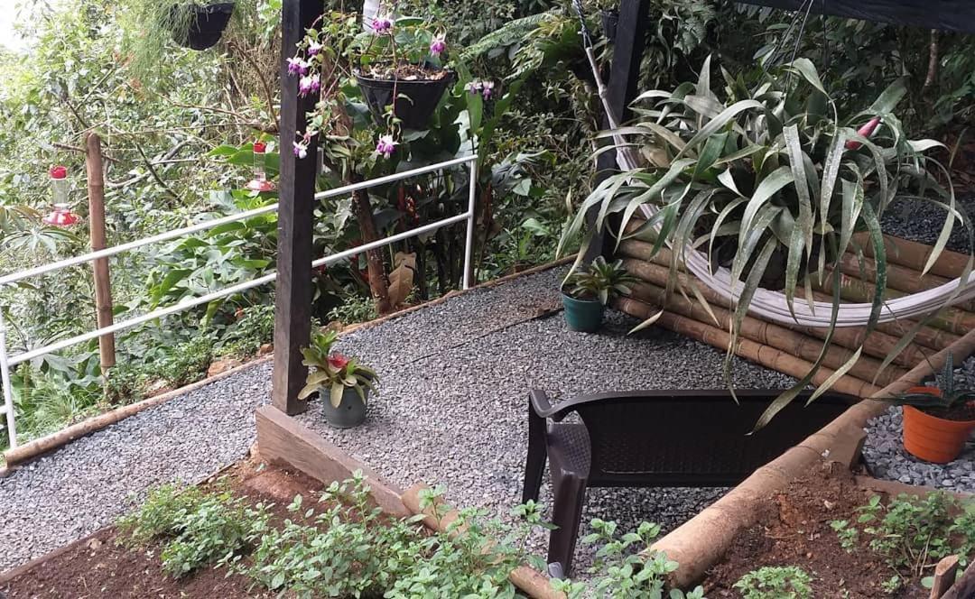 Bosque De Niebla Birding & Nature カリ エクステリア 写真