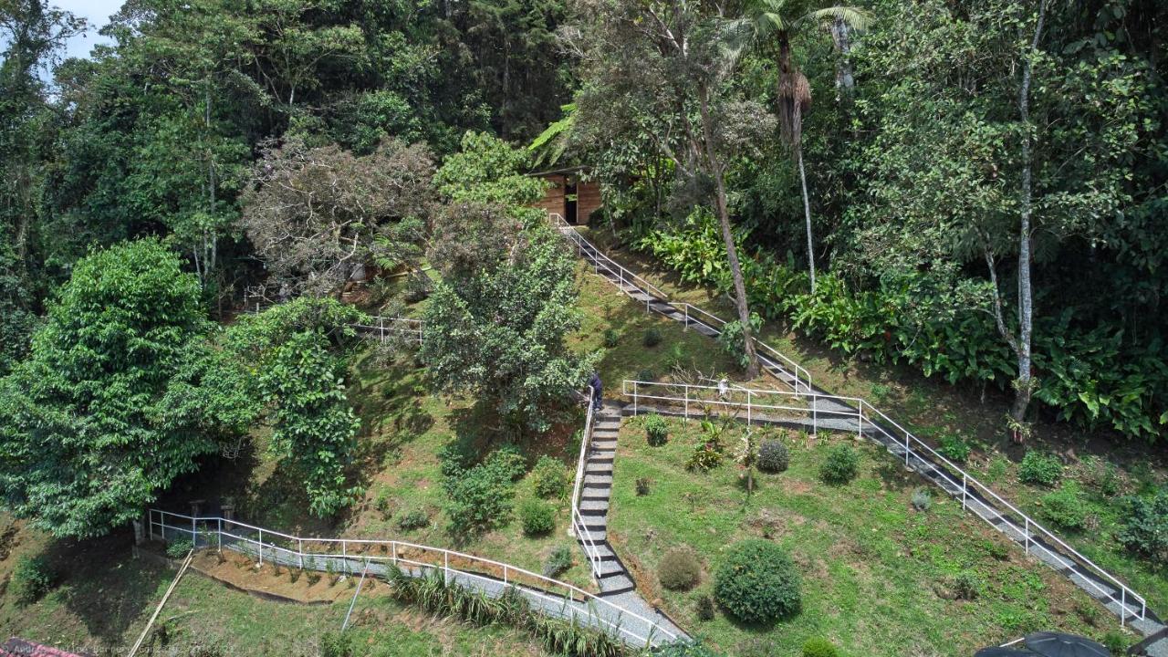 Bosque De Niebla Birding & Nature カリ エクステリア 写真
