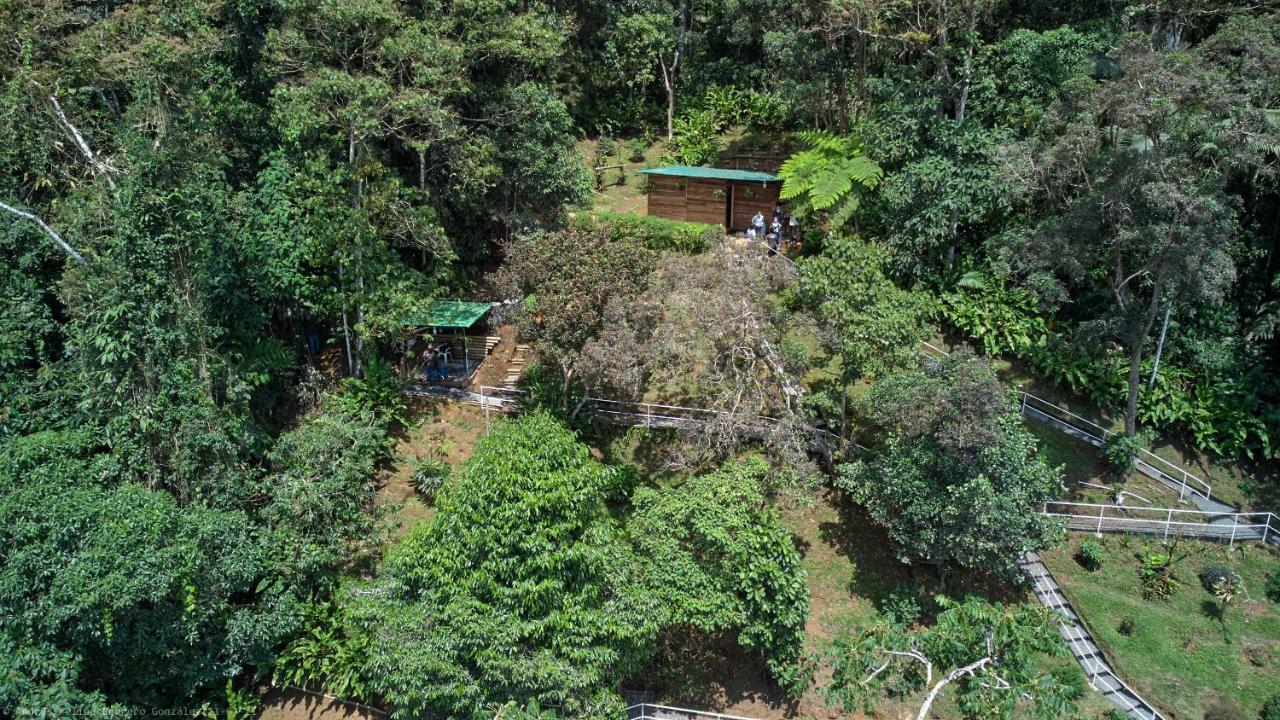 Bosque De Niebla Birding & Nature カリ エクステリア 写真