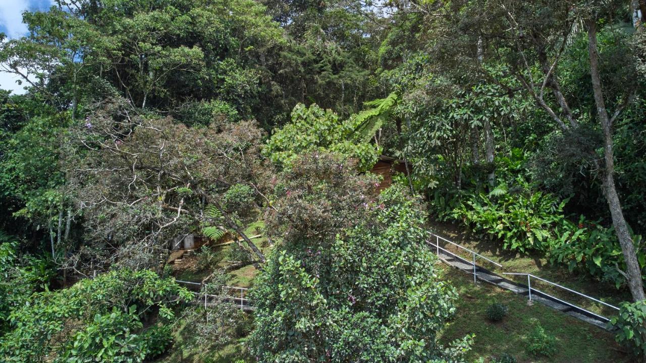 Bosque De Niebla Birding & Nature カリ エクステリア 写真